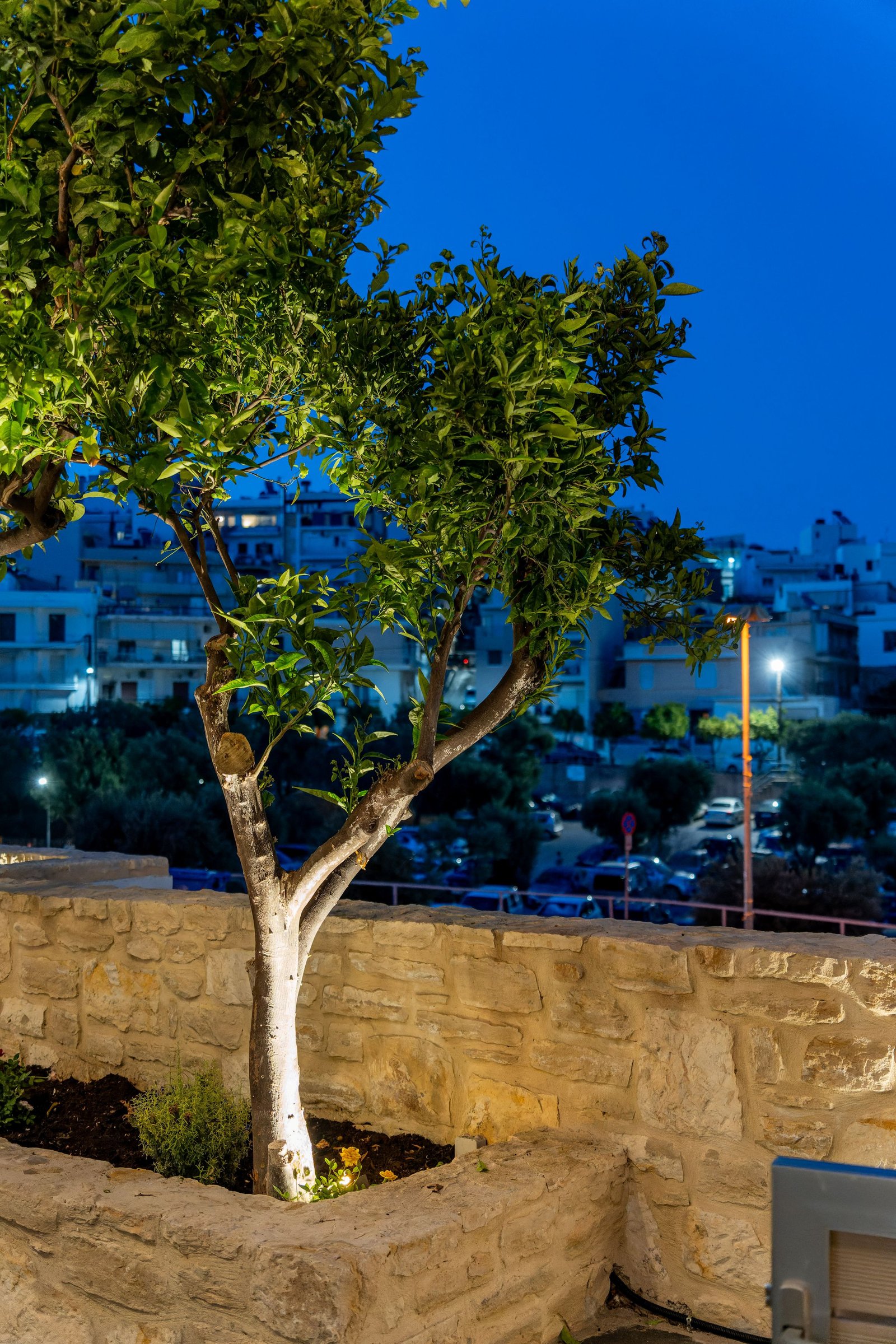 Night view - Photo 4